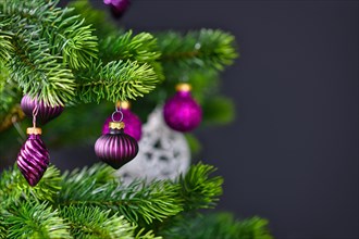 Close up of beautiful purple glass tree bauble with decorated Christmas tree with other seasonal tree ornaments on dark black background