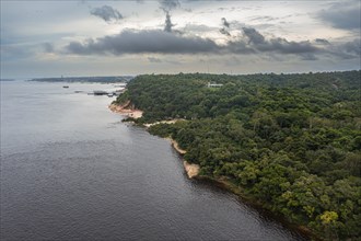 Shore of the Amazon river