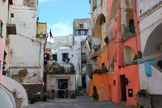 Backyard romance in the old town of Procida