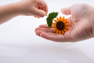Baby giving a fake flower on a white background
