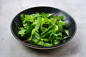 Plate with assortment of fresh salad leaves