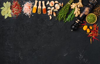 Assortment of spice and seasonings scattered on dark background