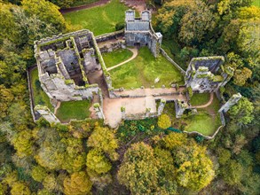 Top Down over Berry Pomeroy Castle from a drone