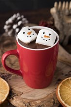 Christmas cup hot chocolate with marshmallows