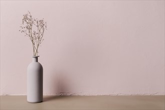 Decorative plant inside minimal vase