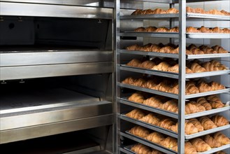Many ready made fresh baked croissant bakery oven