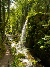 Waterfall and hiking trail in the gorge of the Menzenschwander Alb