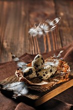 Feathers falling on a bowl with quail eggs