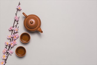 Tea set cherry blossom branch. Resolution and high quality beautiful photo