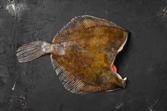 Frozen flounder without head on black background