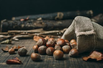 Close up chestnuts bag