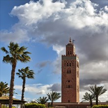 Minaret of the 12th century Koutoubia Mosque among palm trees