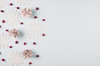Collection paper snowflakes snags berries