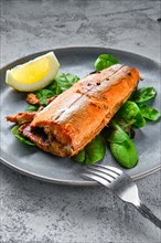 Red salmon baked in oven with spice