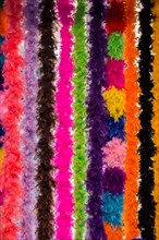 Beautiful bird feathers for decorative purposes