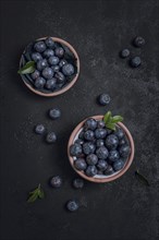 Top view fresh blueberries bowls. Resolution and high quality beautiful photo