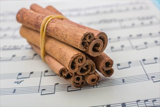 Bundles of Cinnamon sticks placed on a paper with musical notes