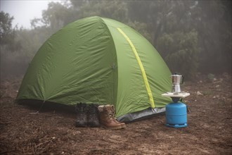Green tent set up forest