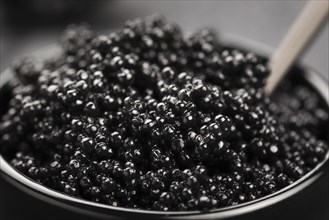 High angle black caviar