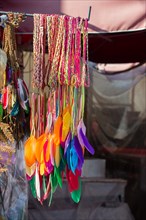 Beautiful bird feathers for decorative purposes