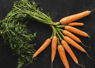 Top view arrangement fresh carrots. Resolution and high quality beautiful photo