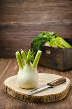 Fresh fennel bulb on wooden cutting board