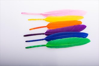 Studio shot photo of colored bird feathers as texture background