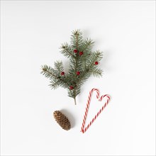 Fir tree branch with candy cane cone