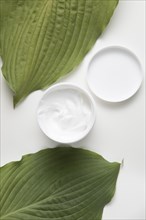 Flat lay cream leaves white background