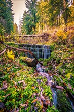 Long exposure of a small stream with a small waterfall in the Schoenjungferngrund in the Erzgebirge below the Fichtelberg