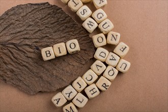 Letter cubes of made of wood around dry leaf
