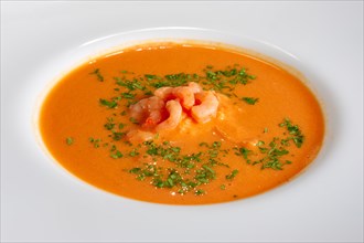 Closeup view of plate of soup with shrimps