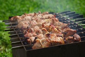 Process of cooking shashlik from pickled meat outdoor