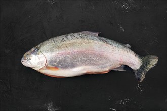 Raw tasmanian ocean trout on black concrete background
