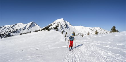 Ski tourers climbing Hochgern