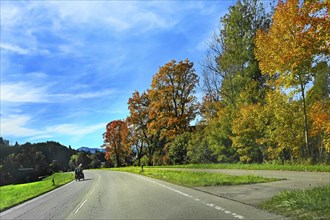 Country road in autumnal Ostrachtal