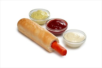 Layout for menu. Hot dog sandwich with sauce