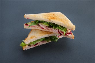 Club sandwich with smoked duck breast