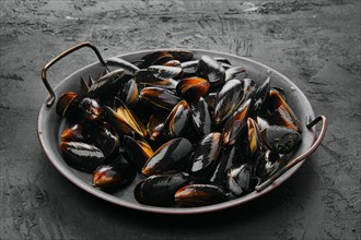 Big plate with frozen cooked whole shell mussels
