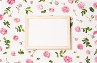 Photo frame collection pink flowers green leaves