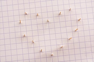 Nails make hole on paper forming a heart shape
