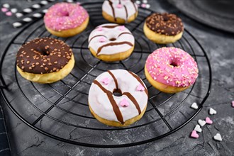 Donuts with different white and brown chocolate and strawberry glazings with sprinkles arranged in circle on cake grid on dark grunge background