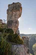 Spectacular rock in the Gorges de la Jonte in the Cevennes National Park. Aveyron