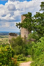 German castle ruin and restaurant called Strahlenburg in Odenwald forest in Schriesheim city