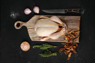 Raw whole broiler chicken with spices on wooden cutting board