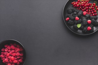 Flat lay plate bowl fresh berries