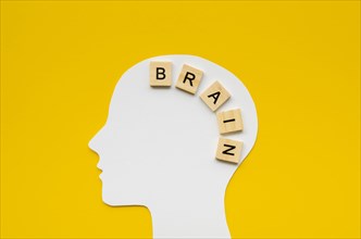 White head with brain word from scrabbles letters. Resolution and high quality beautiful photo
