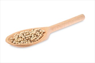 Wooden spoon with pepper isolated on white