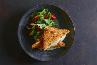Club sandwich with melted cheese inside served with tomato cherry and salad