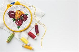 Fruit sewed design with sewing threads and copy space